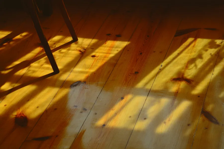Afternoon sun across wide plank floorboards
